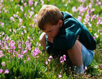 Picture of young boy sitting in a field of wild flowers